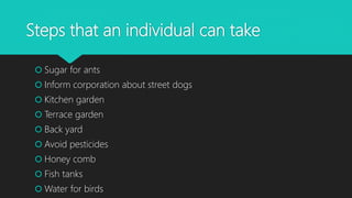 Steps that an individual can take
 Sugar for ants
 Inform corporation about street dogs
 Kitchen garden
 Terrace garden
 Back yard
 Avoid pesticides
 Honey comb
 Fish tanks
 Water for birds
 