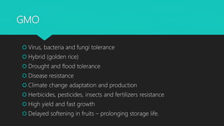 GMO
 Virus, bacteria and fungi tolerance
 Hybrid (golden rice)
 Drought and flood tolerance
 Disease resistance
 Climate change adaptation and production
 Herbicides, pesticides, insects and fertilizers resistance
 High yield and fast growth
 Delayed softening in fruits – prolonging storage life.
 