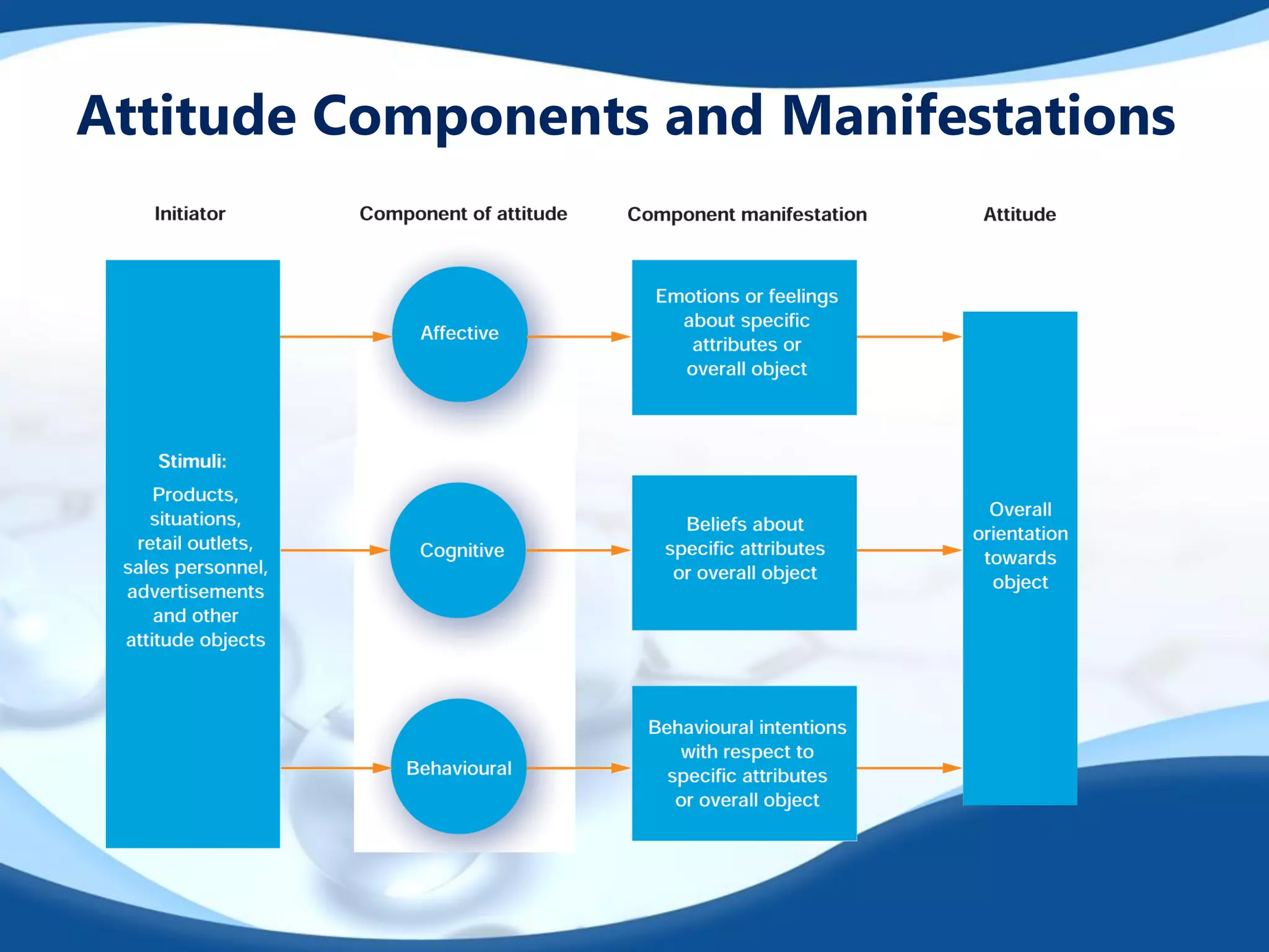 Attitude Components and Manifestations
 
