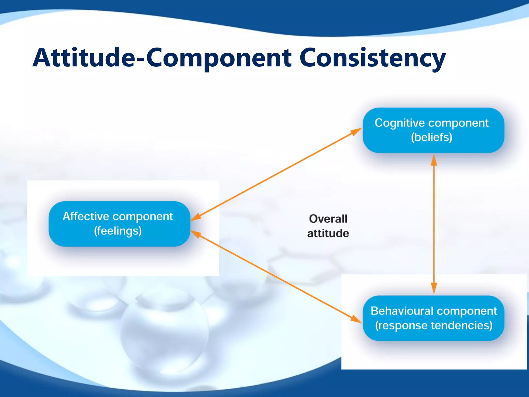 Attitude-Component Consistency
 