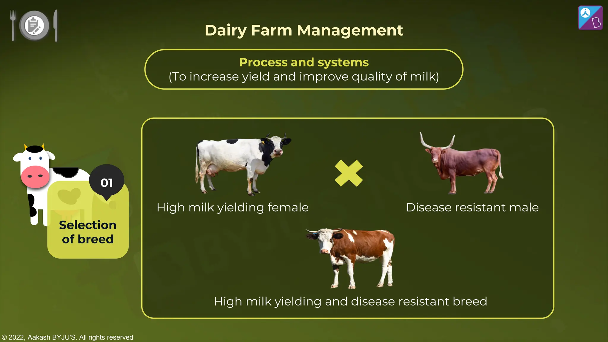 © 2022, Aakash BYJU'S. All rights reserved
High milk yielding female
High milk yielding and disease resistant breed
Dairy Farm Management
01
Selection
of breed
Disease resistant male
Process and systems
(To increase yield and improve quality of milk)
 
