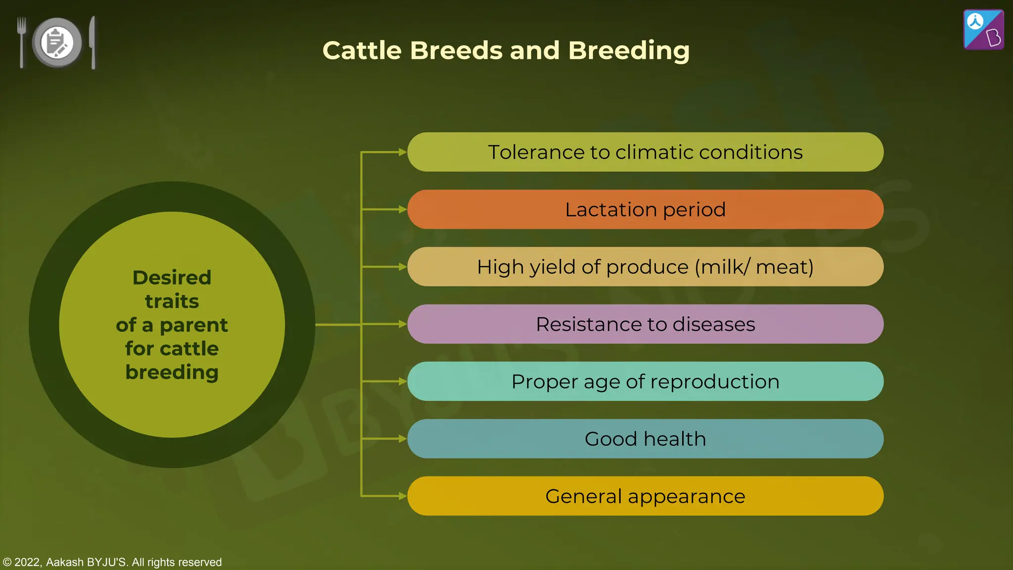 © 2022, Aakash BYJU'S. All rights reserved
Cattle Breeds and Breeding
Tolerance to climatic conditions
Lactation period
High yield of produce (milk/ meat)
Resistance to diseases
Proper age of reproduction
Good health
General appearance
Desired
traits
of a parent
for cattle
breeding
 