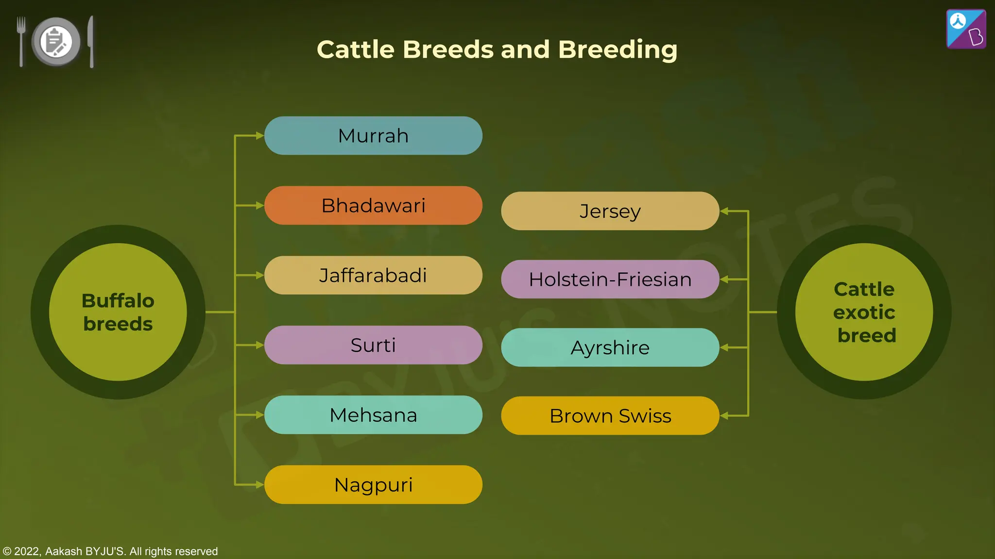 © 2022, Aakash BYJU'S. All rights reserved
Cattle Breeds and Breeding
Buffalo
breeds
Cattle
exotic
breed
Murrah
Bhadawari
Jaffarabadi
Surti
Mehsana
Nagpuri
Jersey
Holstein-Friesian
Ayrshire
Brown Swiss
 