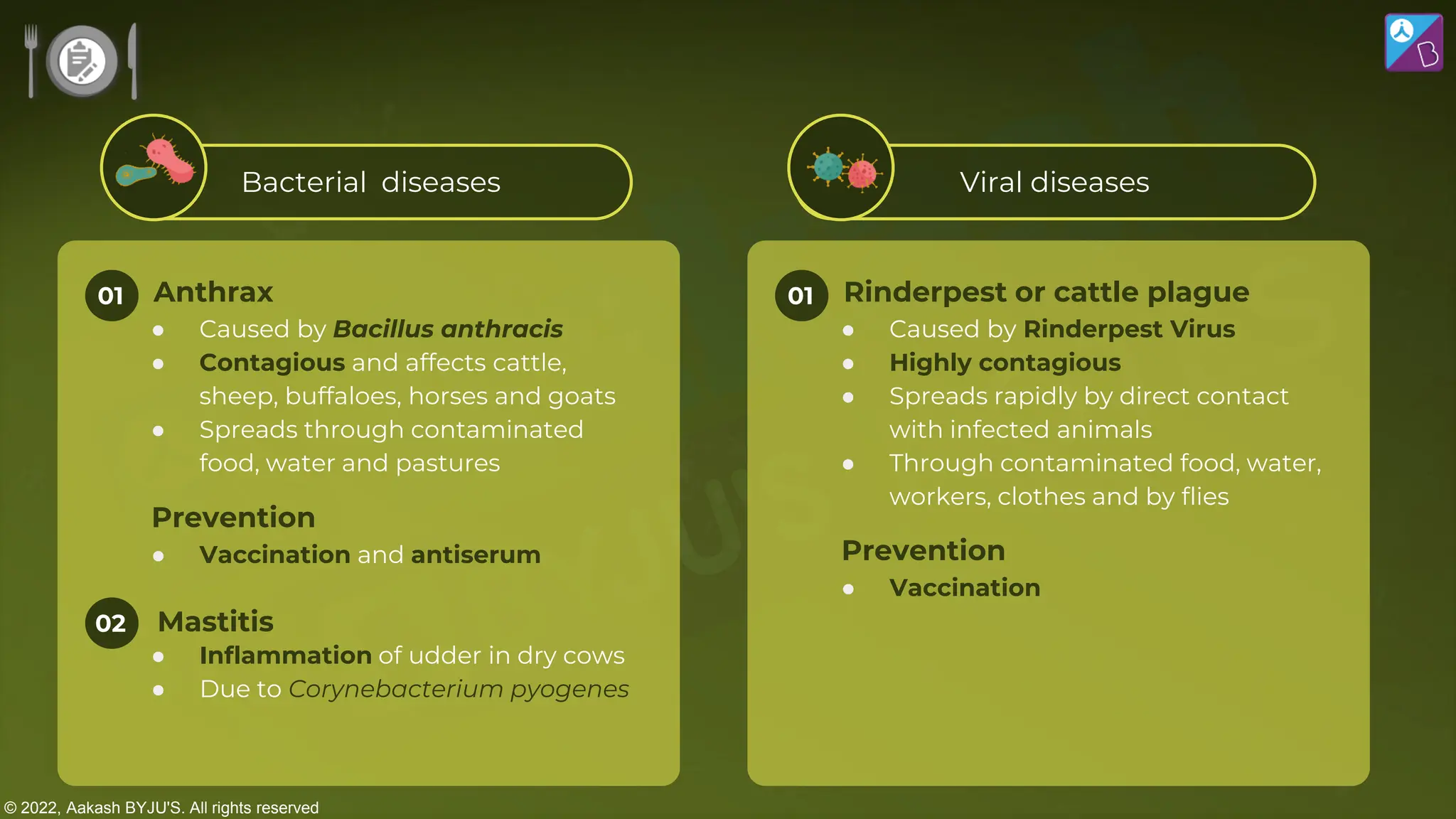 © 2022, Aakash BYJU'S. All rights reserved
Bacterial diseases Viral diseases
01 Anthrax
● Caused by Bacillus anthracis
● Contagious and affects cattle,
sheep, buffaloes, horses and goats
● Spreads through contaminated
food, water and pastures
Prevention
● Vaccination and antiserum
02 Mastitis
● Inflammation of udder in dry cows
● Due to Corynebacterium pyogenes
01 Rinderpest or cattle plague
● Caused by Rinderpest Virus
● Highly contagious
● Spreads rapidly by direct contact
with infected animals
● Through contaminated food, water,
workers, clothes and by flies
Prevention
● Vaccination
 