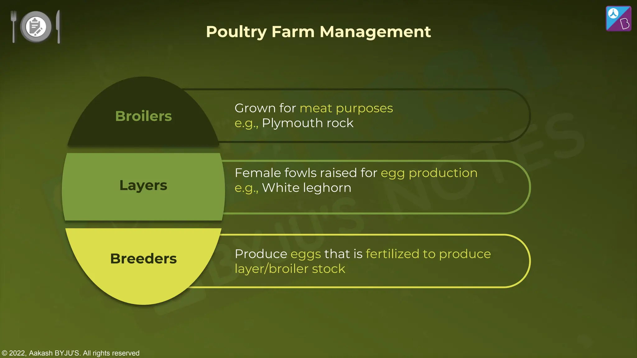 © 2022, Aakash BYJU'S. All rights reserved
Poultry Farm Management
Grown for meat purposes
e.g., Plymouth rock
Layers
Broilers
Breeders
Female fowls raised for egg production
e.g., White leghorn
Produce eggs that is fertilized to produce
layer/broiler stock
 