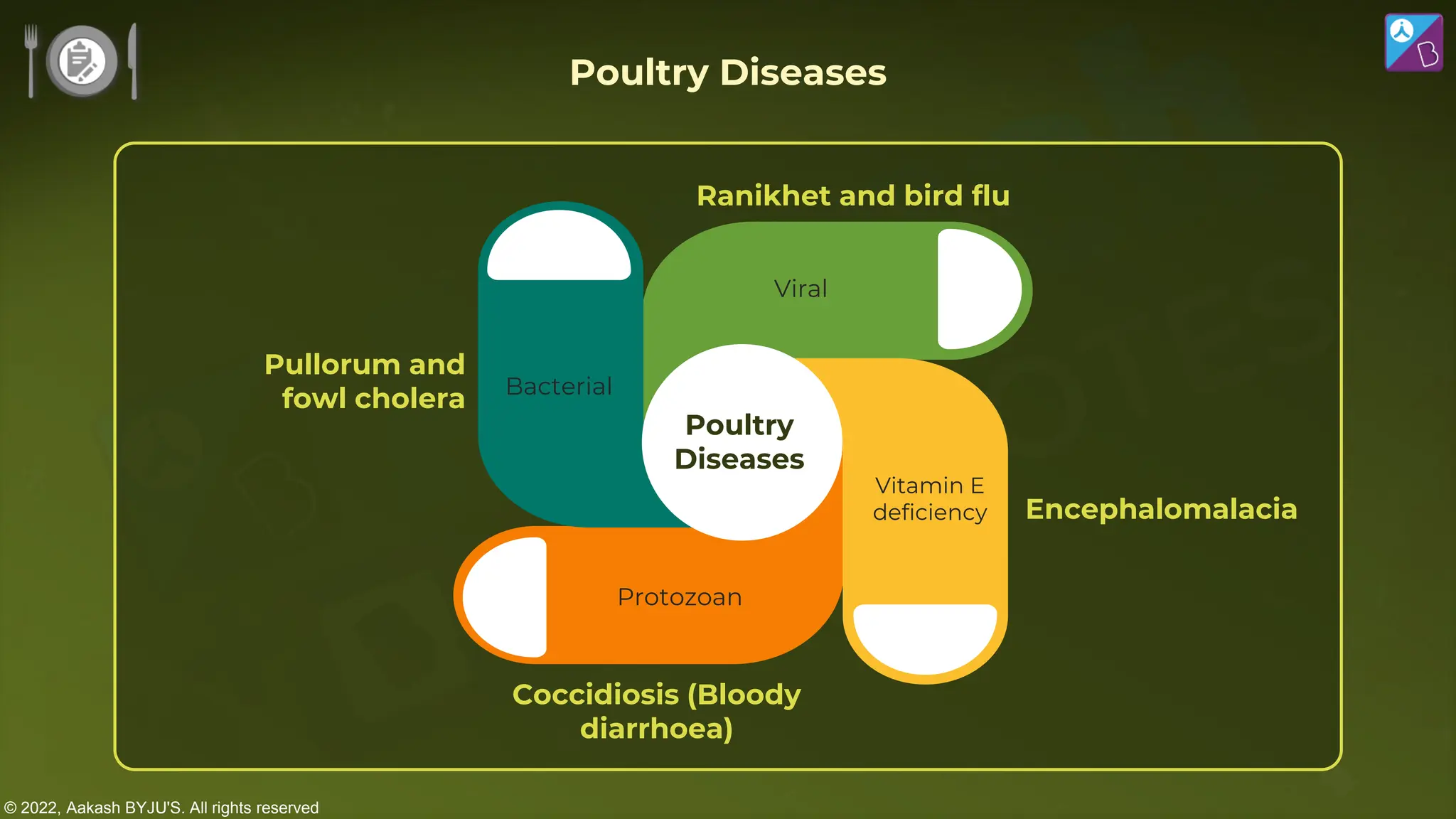 © 2022, Aakash BYJU'S. All rights reserved
Protozoan
Viral
Bacterial
Vitamin E
deficiency Encephalomalacia
Ranikhet and bird flu
Coccidiosis (Bloody
diarrhoea)
Pullorum and
fowl cholera
Poultry
Diseases
Poultry Diseases
 