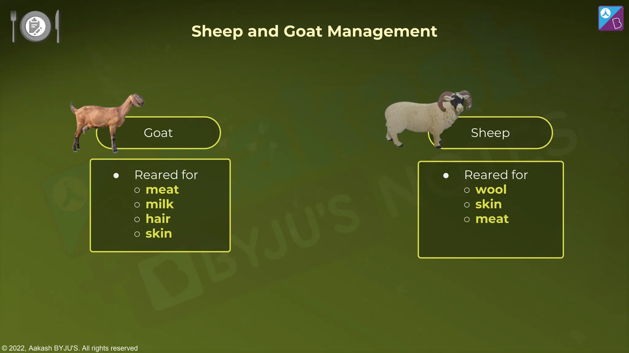 © 2022, Aakash BYJU'S. All rights reserved
Goat Sheep
● Reared for
○ meat
○ milk
○ hair
○ skin
● Reared for
○ wool
○ skin
○ meat
Sheep and Goat Management
 