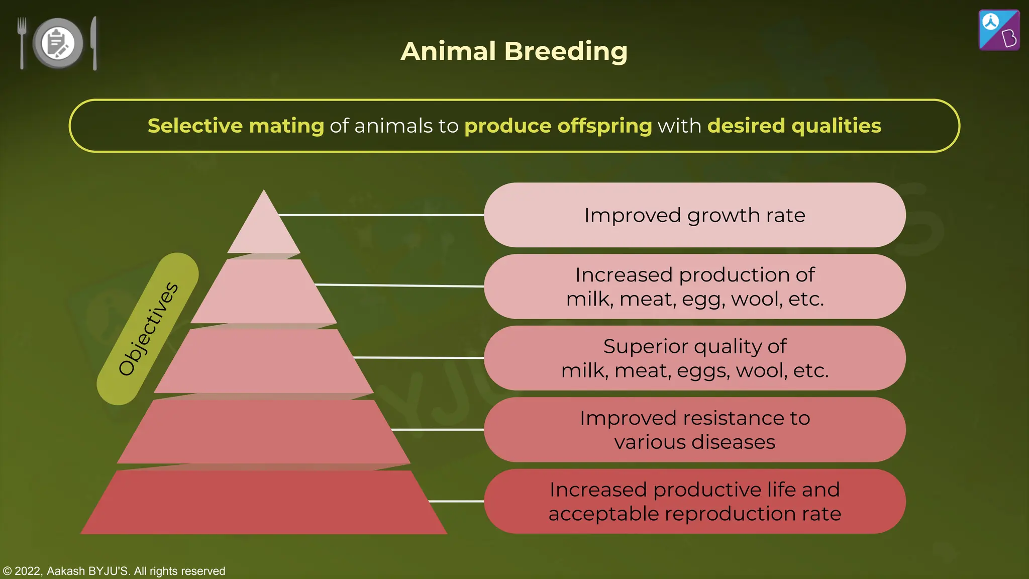© 2022, Aakash BYJU'S. All rights reserved
Improved growth rate
Increased production of
milk, meat, egg, wool, etc.
Superior quality of
milk, meat, eggs, wool, etc.
Improved resistance to
various diseases
Increased productive life and
acceptable reproduction rate
Animal Breeding
Selective mating of animals to produce offspring with desired qualities
 