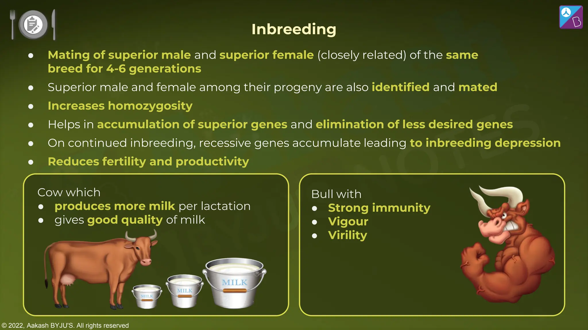 © 2022, Aakash BYJU'S. All rights reserved
Bull with
● Strong immunity
● Vigour
● Virility
Cow which
● produces more milk per lactation
● gives good quality of milk
● Mating of superior male and superior female (closely related) of the same
breed for 4-6 generations
● Superior male and female among their progeny are also identified and mated
● Increases homozygosity
● Helps in accumulation of superior genes and elimination of less desired genes
● On continued inbreeding, recessive genes accumulate leading to inbreeding depression
● Reduces fertility and productivity
Inbreeding
 