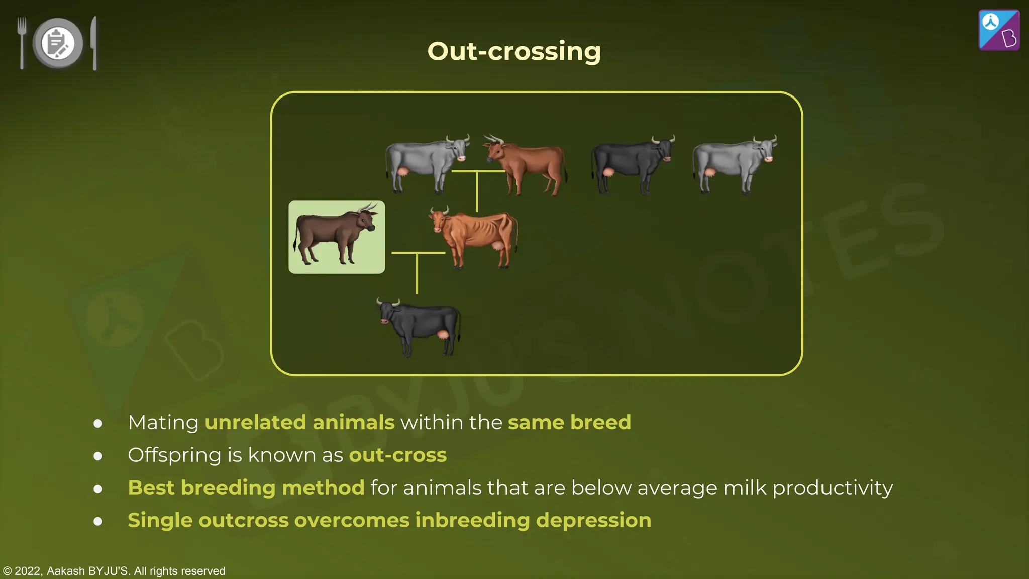© 2022, Aakash BYJU'S. All rights reserved
● Mating unrelated animals within the same breed
● Offspring is known as out-cross
● Best breeding method for animals that are below average milk productivity
● Single outcross overcomes inbreeding depression
Out-crossing
 