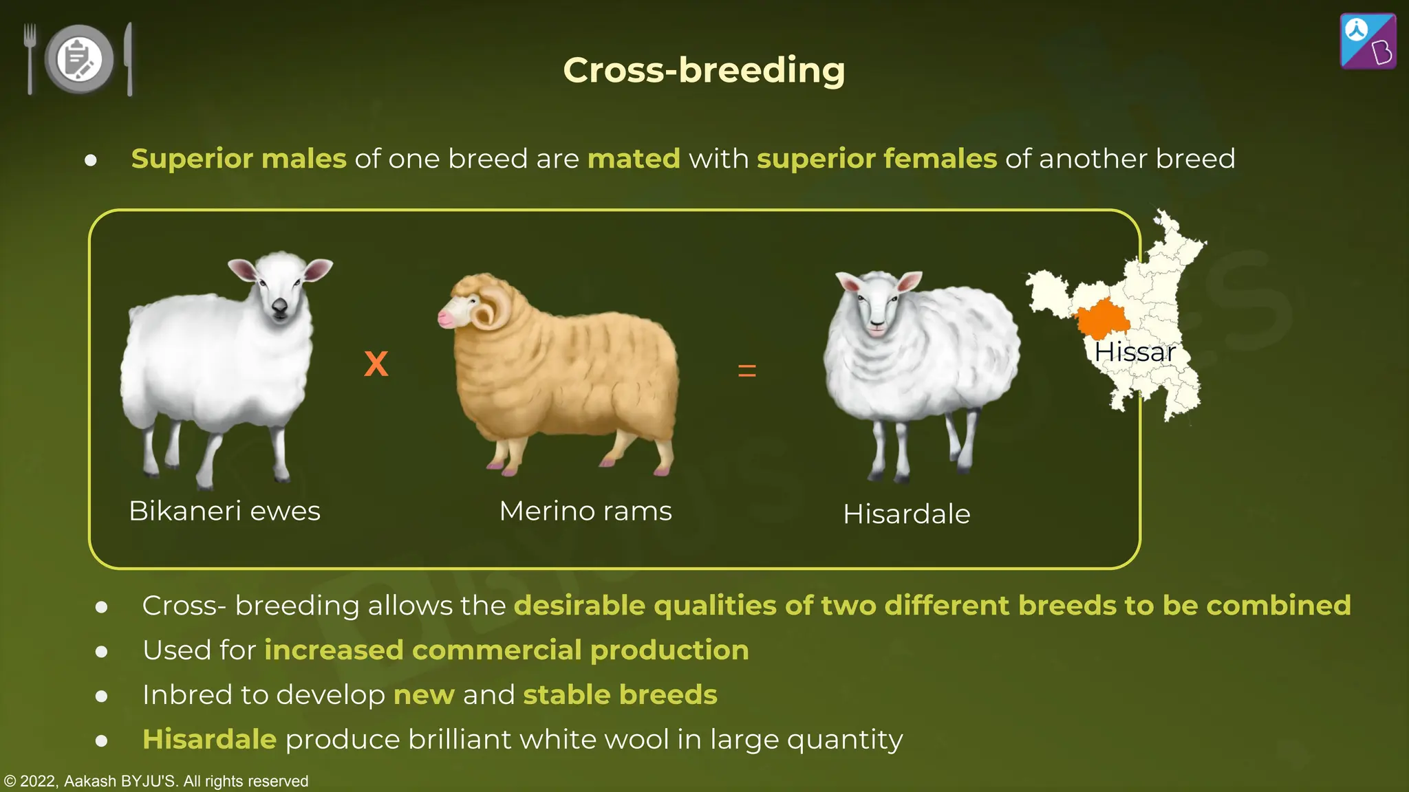 © 2022, Aakash BYJU'S. All rights reserved
Merino rams
Bikaneri ewes
X =
Hisardale
Hissar
● Cross- breeding allows the desirable qualities of two different breeds to be combined
● Used for increased commercial production
● Inbred to develop new and stable breeds
● Hisardale produce brilliant white wool in large quantity
● Superior males of one breed are mated with superior females of another breed
Cross-breeding
 