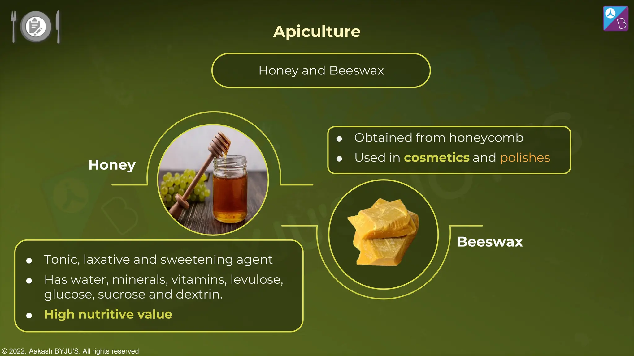 © 2022, Aakash BYJU'S. All rights reserved
Honey
Beeswax
 Obtained from honeycomb
 Used in cosmetics and polishes
 Tonic, laxative and sweetening agent
 Has water, minerals, vitamins, levulose,
glucose, sucrose and dextrin.
 High nutritive value
Apiculture
Honey and Beeswax
 