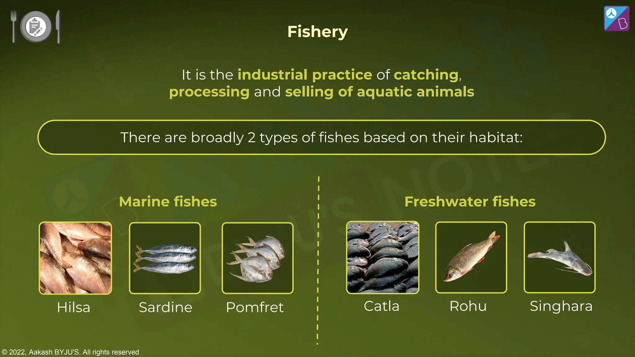 © 2022, Aakash BYJU'S. All rights reserved
It is the industrial practice of catching,
processing and selling of aquatic animals
Marine fishes
Hilsa Sardine Pomfret
Freshwater fishes
Catla Singhara
Rohu
Fishery
There are broadly 2 types of fishes based on their habitat:
 