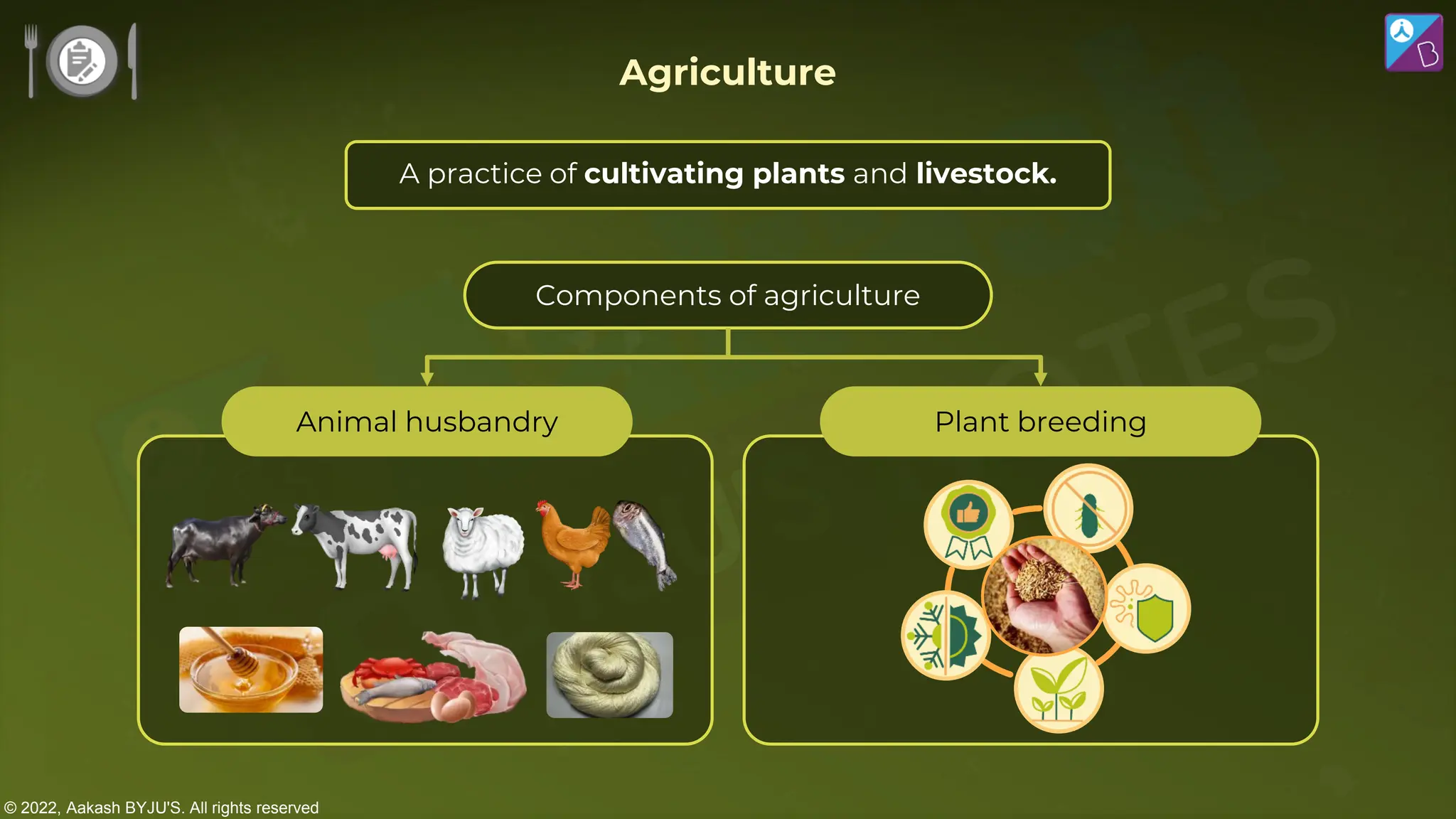 © 2022, Aakash BYJU'S. All rights reserved
A practice of cultivating plants and livestock.
Components of agriculture
Agriculture
Animal husbandry Plant breeding
Wi
 