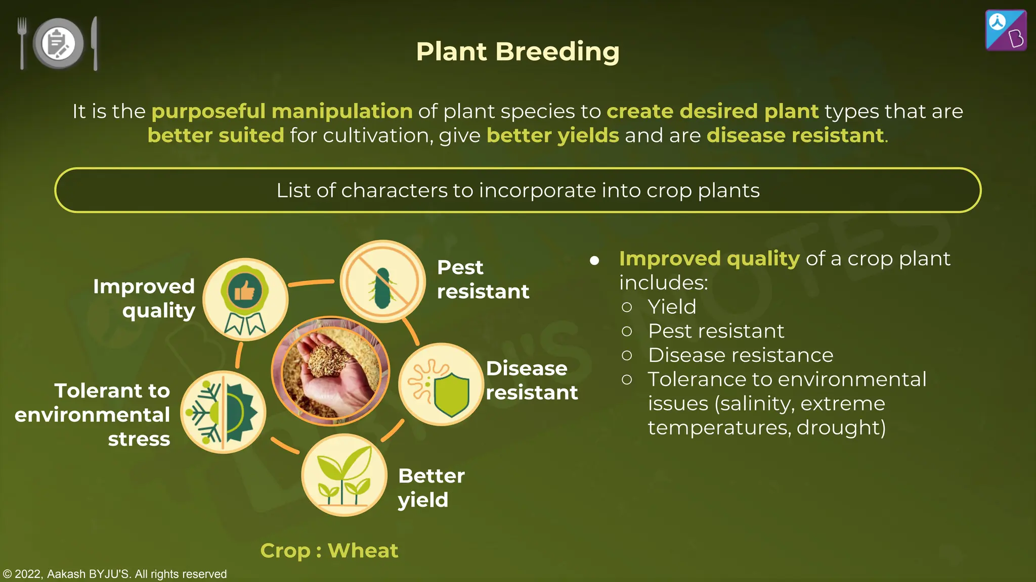 © 2022, Aakash BYJU'S. All rights reserved
List of characters to incorporate into crop plants
Disease
resistant
Pest
resistant
Better
yield
Tolerant to
environmental
stress
Improved
quality
Crop : Wheat
 Improved quality of a crop plant
includes:
○ Yield
○ Pest resistant
○ Disease resistance
○ Tolerance to environmental
issues (salinity, extreme
temperatures, drought)
It is the purposeful manipulation of plant species to create desired plant types that are
better suited for cultivation, give better yields and are disease resistant.
Plant Breeding
 