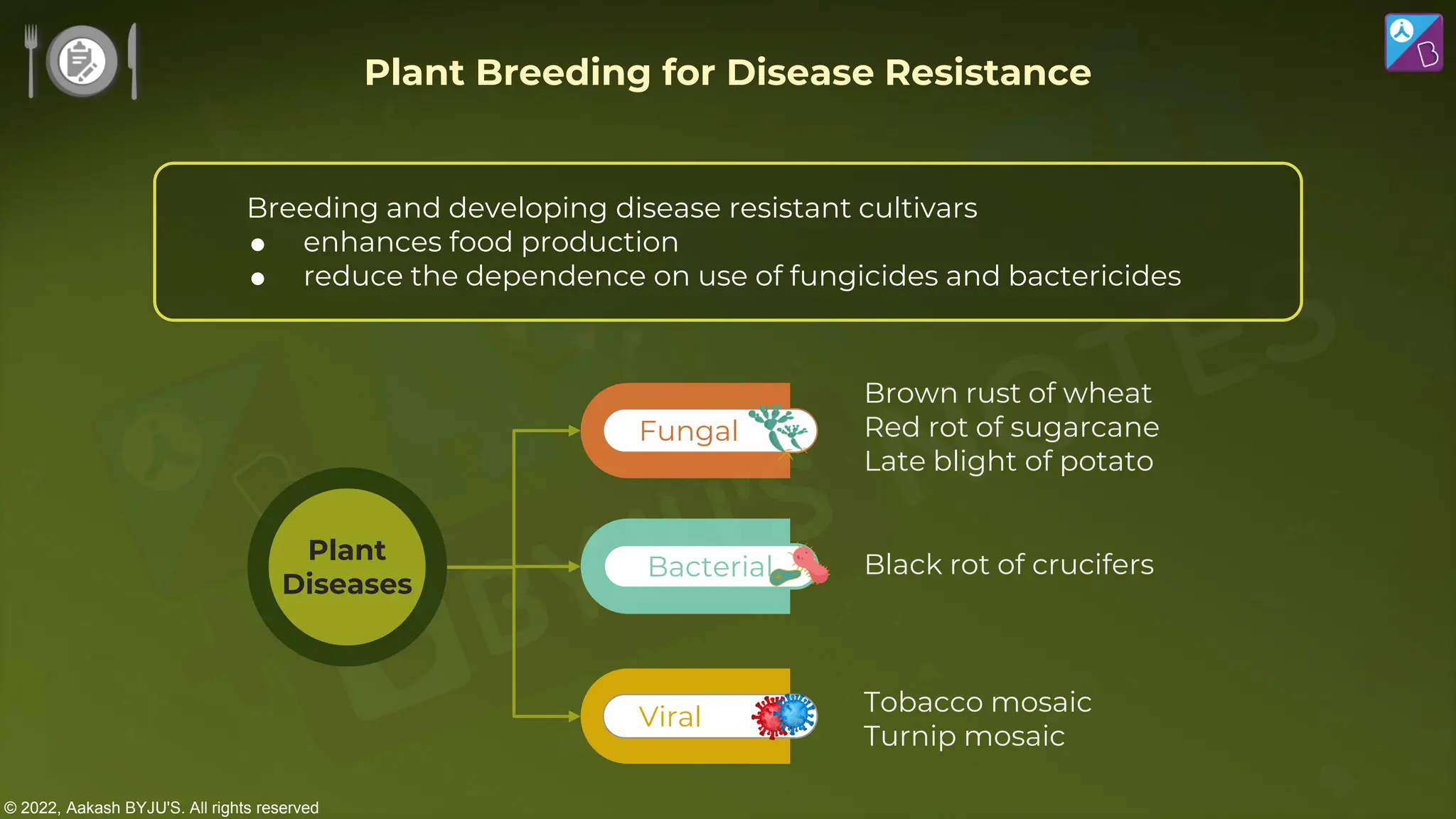 © 2022, Aakash BYJU'S. All rights reserved
Plant Breeding for Disease Resistance
Breeding and developing disease resistant cultivars
 enhances food production
 reduce the dependence on use of fungicides and bactericides
Black rot of crucifers
Tobacco mosaic
Turnip mosaic
Brown rust of wheat
Red rot of sugarcane
Late blight of potato
Bacterial
Viral
Fungal
Plant
Diseases
 