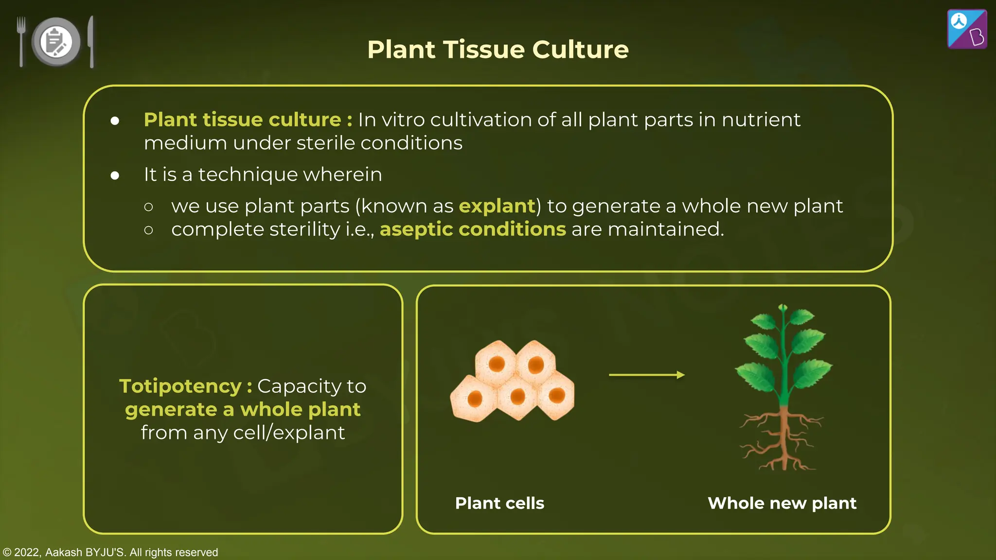 © 2022, Aakash BYJU'S. All rights reserved
Totipotency : Capacity to
generate a whole plant
from any cell/explant
Plant cells Whole new plant
Plant Tissue Culture
● Plant tissue culture : In vitro cultivation of all plant parts in nutrient
medium under sterile conditions
● It is a technique wherein
○ we use plant parts (known as explant) to generate a whole new plant
○ complete sterility i.e., aseptic conditions are maintained.
 