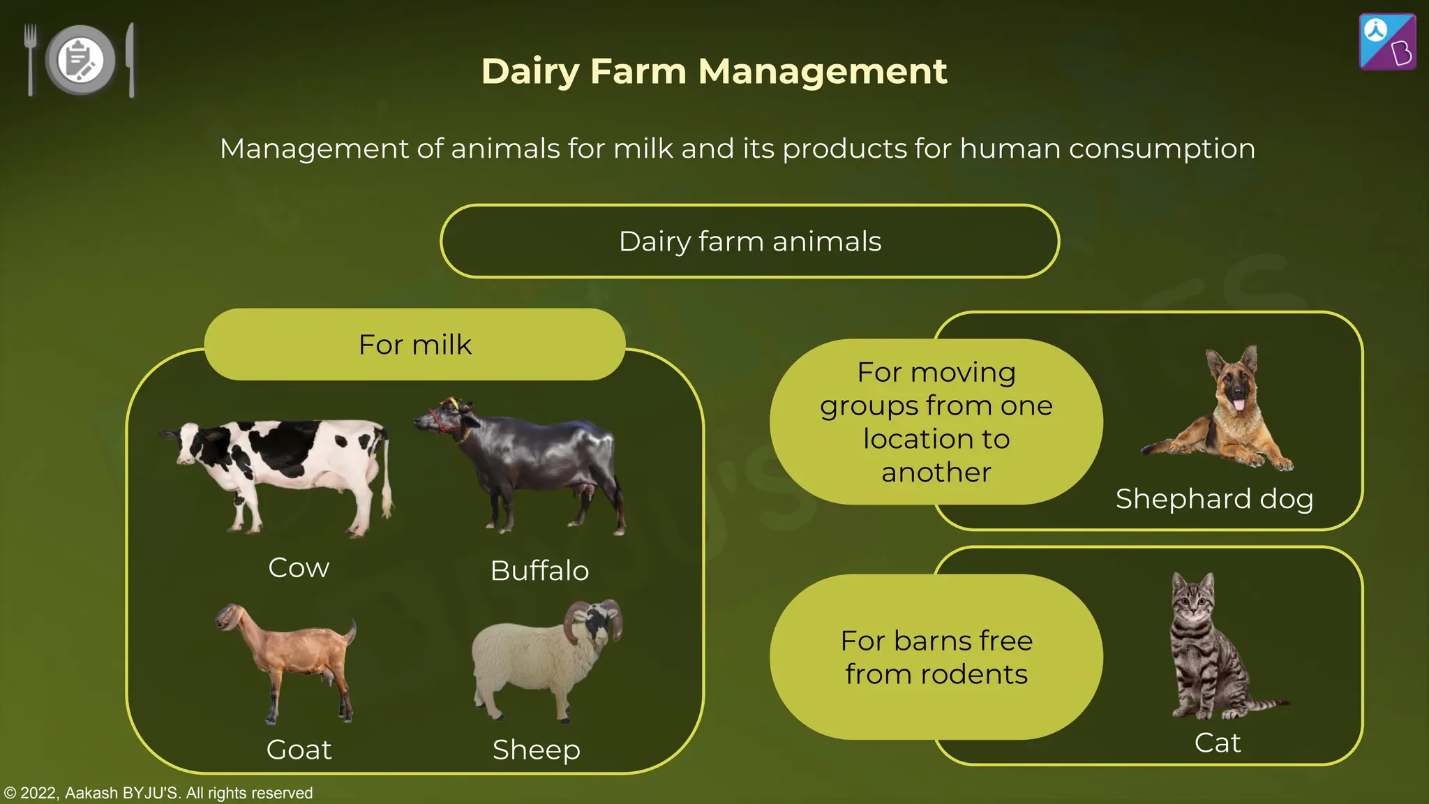 © 2022, Aakash BYJU'S. All rights reserved
For milk
Dairy farm animals
For moving
groups from one
location to
another
For barns free
from rodents
Cow
Goat
Buffalo
Sheep
Shephard dog
Cat
Dairy Farm Management
Management of animals for milk and its products for human consumption
 