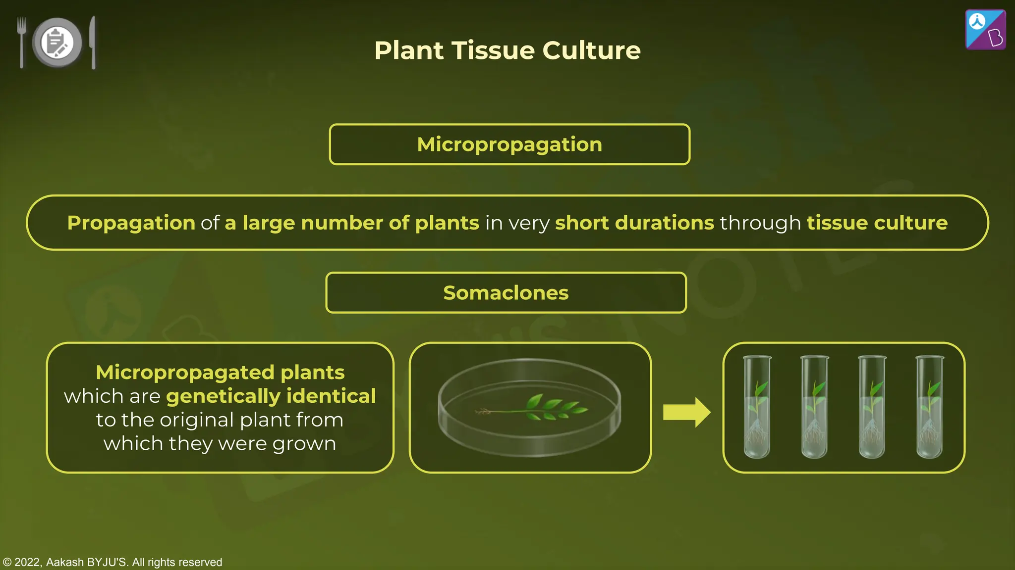 © 2022, Aakash BYJU'S. All rights reserved
Micropropagation
Somaclones
Micropropagated plants
which are genetically identical
to the original plant from
which they were grown
Plant Tissue Culture
Propagation of a large number of plants in very short durations through tissue culture
 