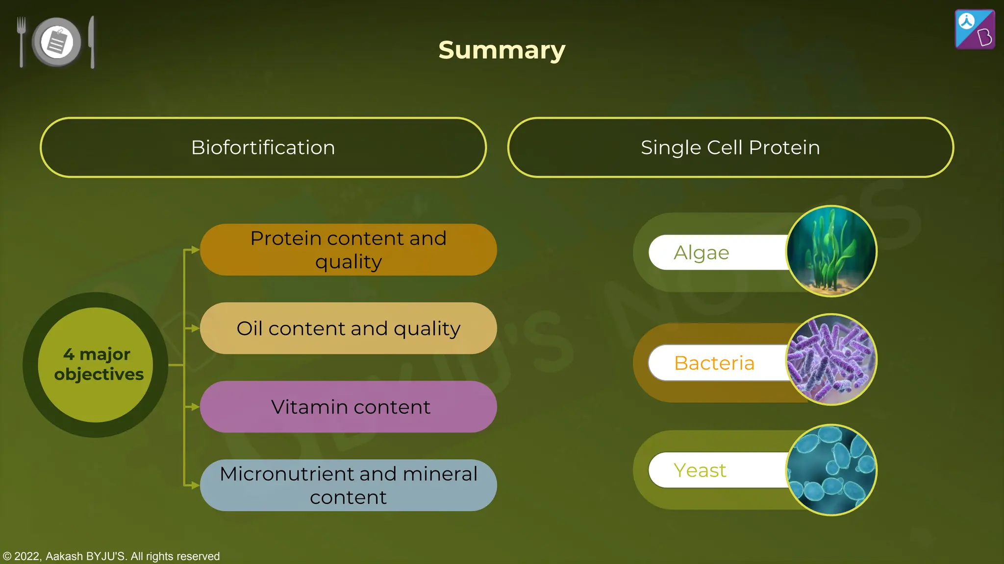 © 2022, Aakash BYJU'S. All rights reserved
Summary
4 major
objectives
Protein content and
quality
Oil content and quality
Vitamin content
Micronutrient and mineral
content
Bacteria
Yeast
Algae
Biofortification Single Cell Protein
 