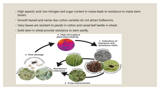 Strategies for enhancement in food production ii
