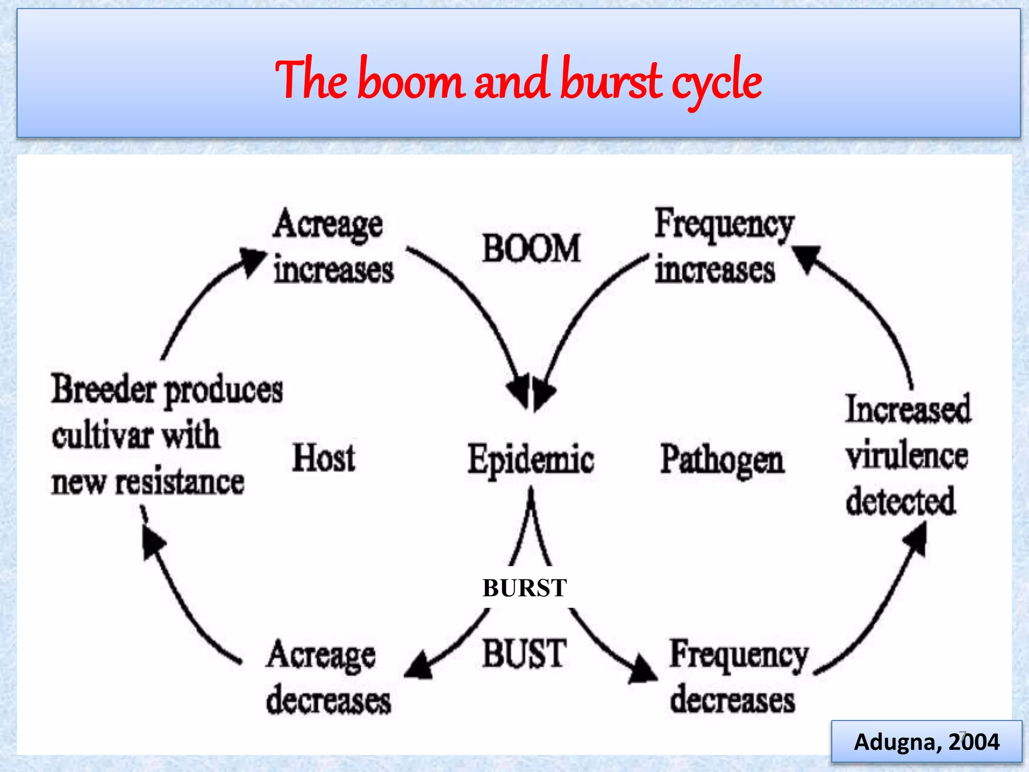 The boomand burst cycle
BURST
Adugna, 20047
 