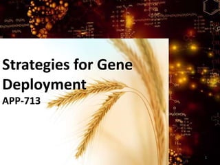Strategies for Gene
Deployment
APP-713
1
 