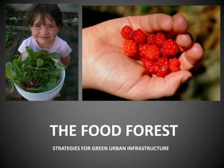 The Food Forest Strategies For Green Urban Infrastructure 