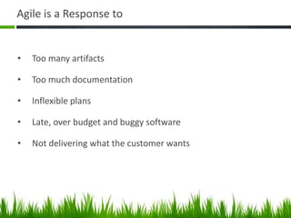 Agile is a Response to
• Too many artifacts
• Too much documentation
• Inflexible plans
• Late, over budget and buggy software
• Not delivering what the customer wants
 