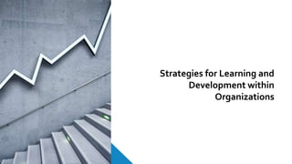 Strategies for Learning and
Development within
Organizations
 