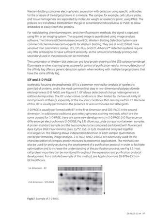 Strategies for protein purification | PDF