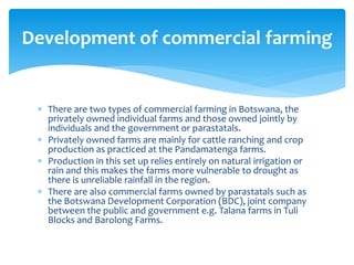 There are two types of commercial farming in Botswana, the
privately owned individual farms and those owned jointly by
individuals and the government or parastatals.
 Privately owned farms are mainly for cattle ranching and crop
production as practiced at the Pandamatenga farms.
 Production in this set up relies entirely on natural irrigation or
rain and this makes the farms more vulnerable to drought as
there is unreliable rainfall in the region.
 There are also commercial farms owned by parastatals such as
the Botswana Development Corporation (BDC), joint company
between the public and government e.g. Talana farms in Tuli
Blocks and Barolong Farms.
Development of commercial farming
 