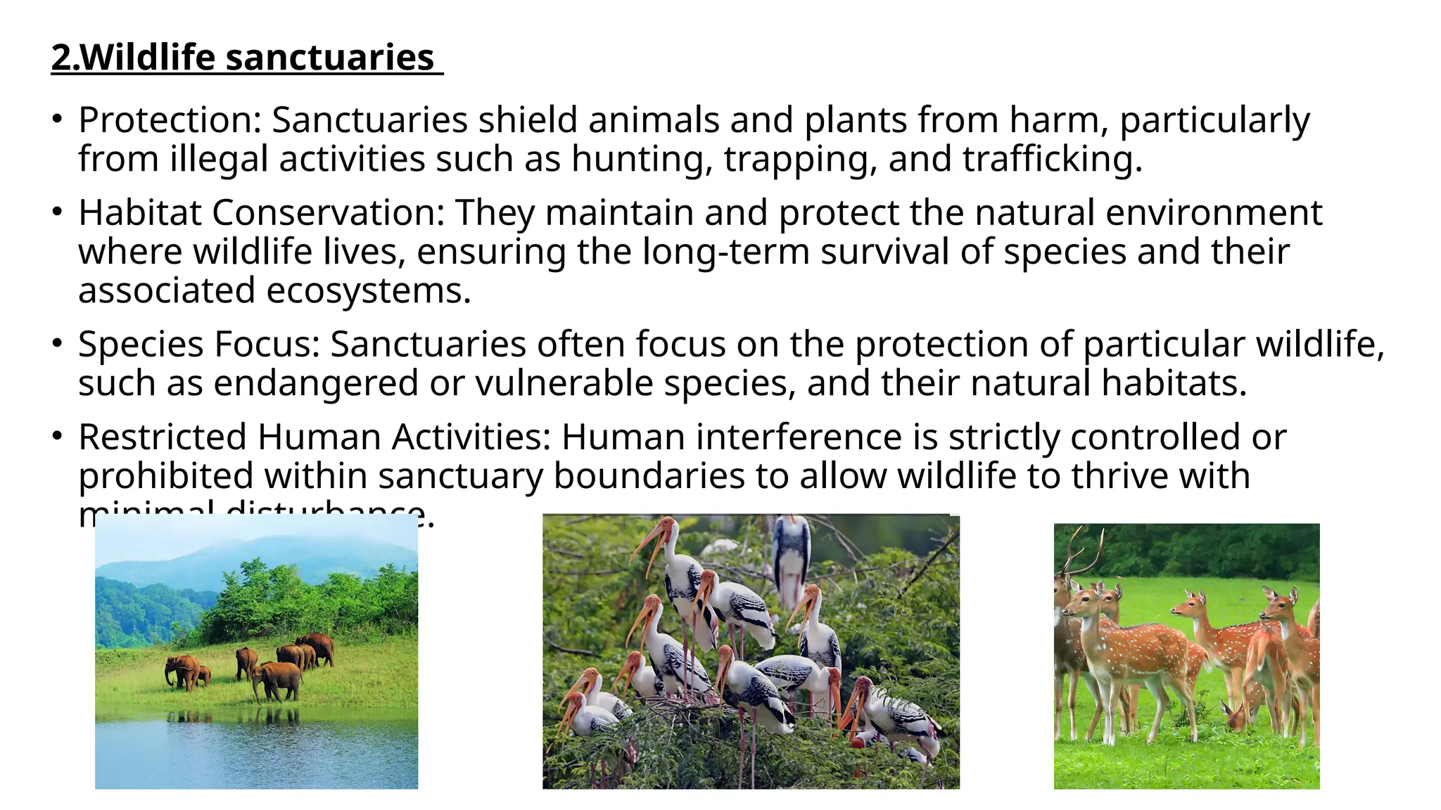 Strategies of Biodiversity Conservation.pptx