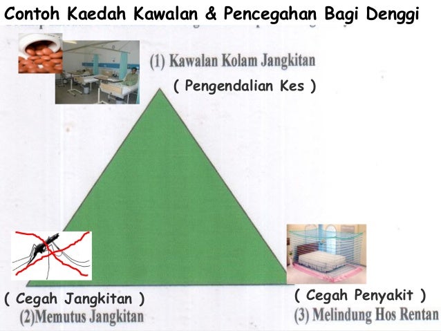 Strategi Kawalan dan Pencegahan Penyakit Berjangkit 