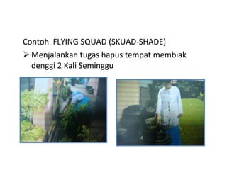 <ul><li>Contoh  FLYING SQUAD (SKUAD-SHADE) </li></ul><ul><li>Menjalankan tugas hapus tempat membiak denggi 2 Kali Seminggu...