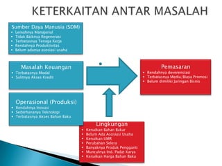 Sumber Daya Manusia (SDM)
   Lemahnya Manajerial
   Tidak Baiknya Regenerasi
   Terbatasnya Tenaga Kerja
   Rendahnya Produktivitas
   Belum adanya asosiasi usaha



       Masalah Keuangan                                                     Pemasaran
 Terbatasnya Modal                                                 Rendahnya deverensiasi
 Sulitnya Akses Kredit                                             Terbatasnya Media/Biaya Promosi
                                                                    Belum dimiliki Jaringan Bisnis




    Operasional (Produksi)
 Rendahnya Inovasi
 Sederhananya Teknologi
 Terbatasnya Akses Bahan Baku

                                           Lingkungan
                                     Kenaikan Bahan Bakar
                                     Belum Ada Asosiasi Usaha
                                     Kenaikan UMR
                                     Perubahan Selera
                                     Banyaknya Produk Pengganti
                                     Munculnya Ind. Padat Karya
                                     Kenaikan Harga Bahan Baku
 