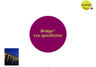 Bridge®
Les spécificités




       10
 