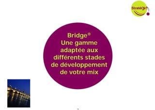 Bridge®
    Une gamme
    adaptée aux
 différents stades
de développement
   de votre mix




        18
 
