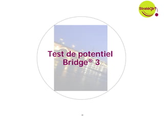 Test de potentiel
    Bridge® 3




        20
 