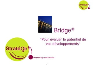 Bridge ®

“Pour évaluer le potentiel de
   vos développements”




   1
 