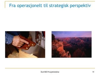 Fra operasjonelt til strategisk perspektiv 