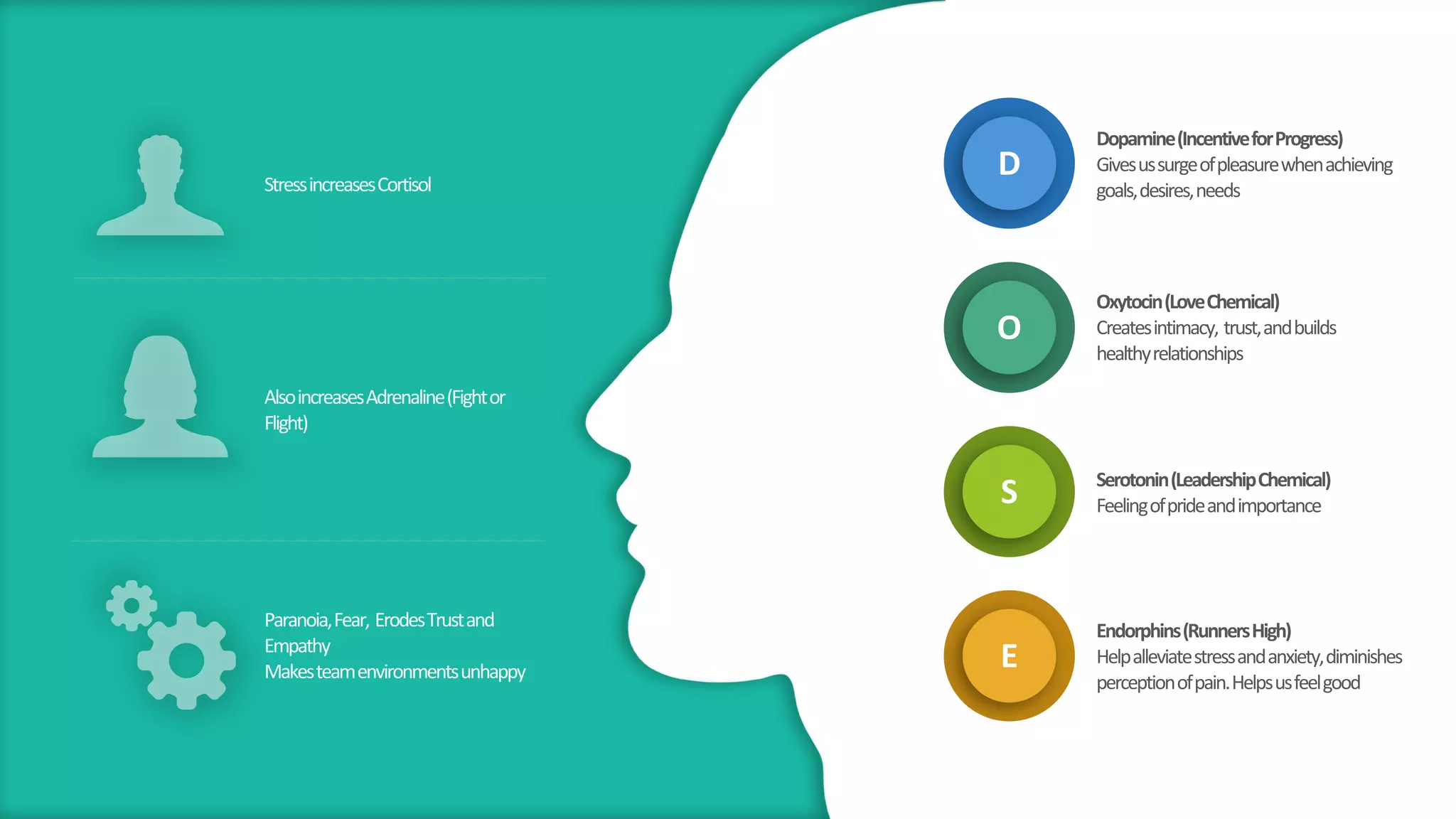 D
Dopamine(IncentiveforProgress)
Givesussurgeofpleasurewhenachieving
goals,desires,needs
O
Oxytocin(LoveChemical)
Createsintimacy, trust,andbuilds
healthyrelationships
S Serotonin(LeadershipChemical)
Feelingofprideandimportance
E
Endorphins(RunnersHigh)
Helpalleviatestressandanxiety,diminishes
perceptionofpain.Helpsusfeelgood
StressincreasesCortisol
AlsoincreasesAdrenaline(Fightor
Flight)
Paranoia,Fear, ErodesTrustand
Empathy
Makesteamenvironmentsunhappy
 