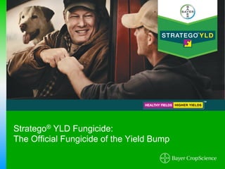 Stratego® YLD Fungicide:
The Official Fungicide of the Yield Bump !
 