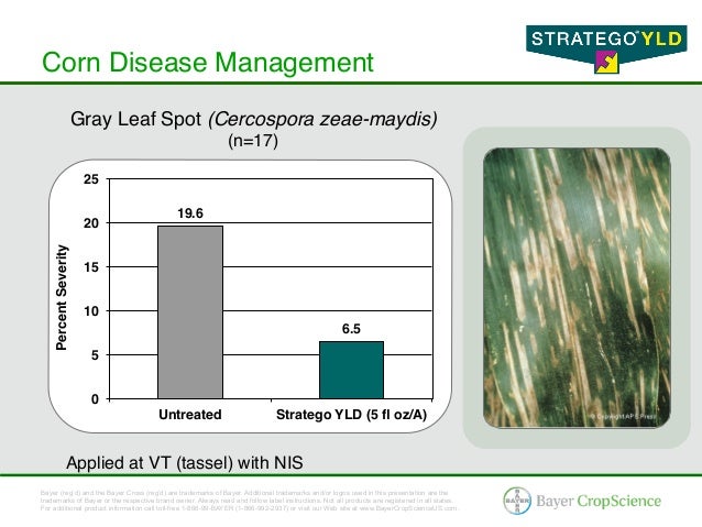 Stratego® YLD - Corn & Soybean Fungicide