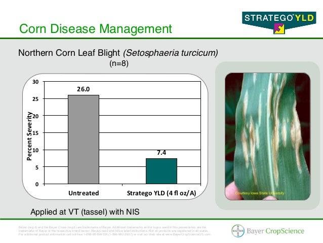 Stratego® YLD - Corn & Soybean Fungicide