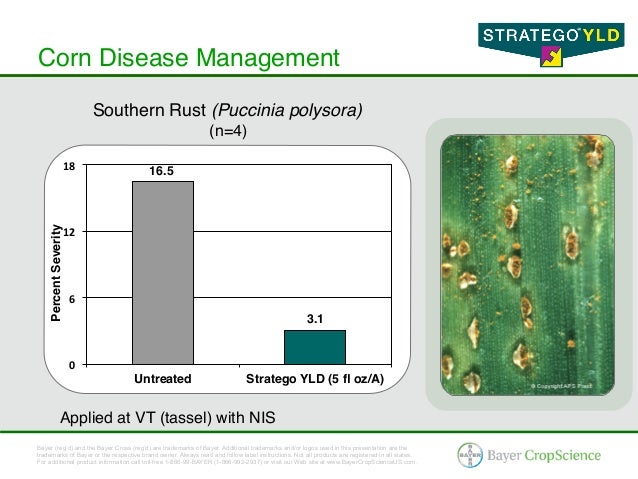 Stratego® YLD - Corn & Soybean Fungicide