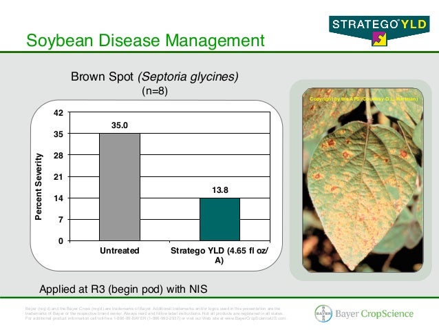 Stratego® YLD - Corn & Soybean Fungicide