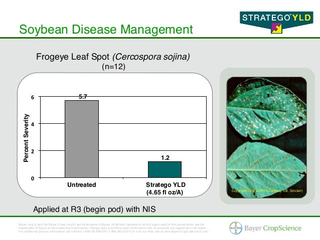 Stratego® YLD - Corn & Soybean Fungicide