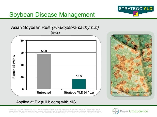 Stratego® YLD - Corn & Soybean Fungicide