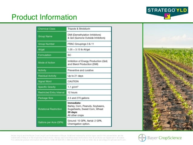 Stratego® YLD - Corn & Soybean Fungicide